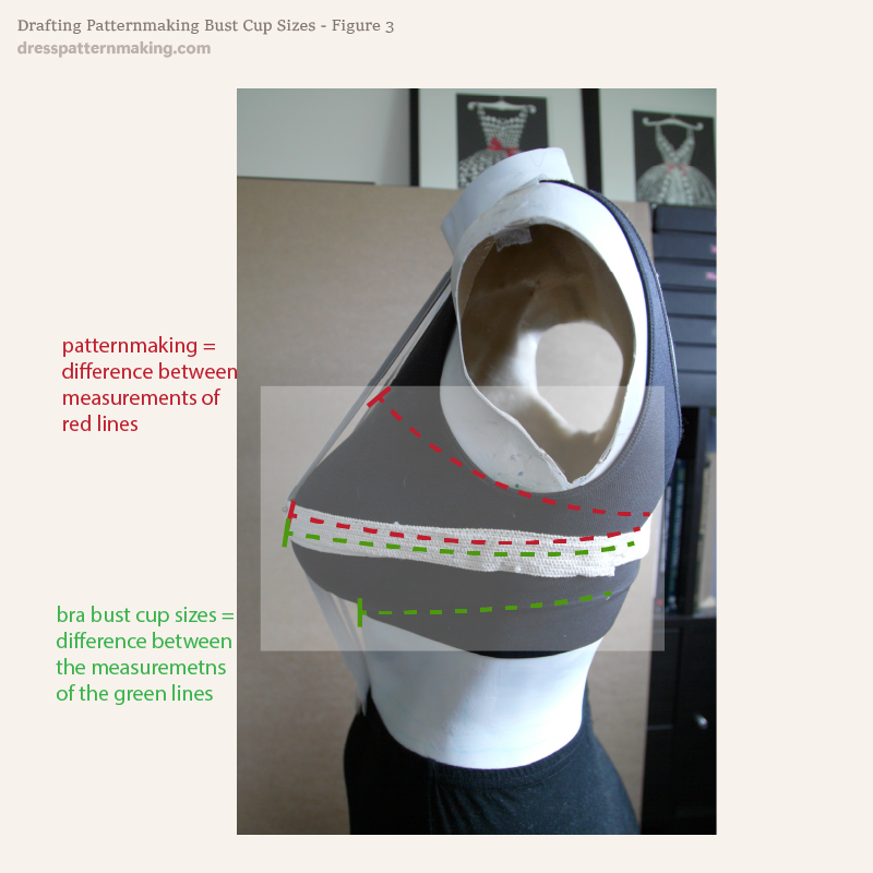 Figure 3: Body form with indication of difference between Bra and Patternmaking Bust Cups