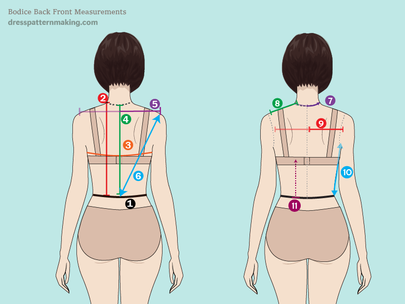 Bodice Back measurements shown on a Croquis