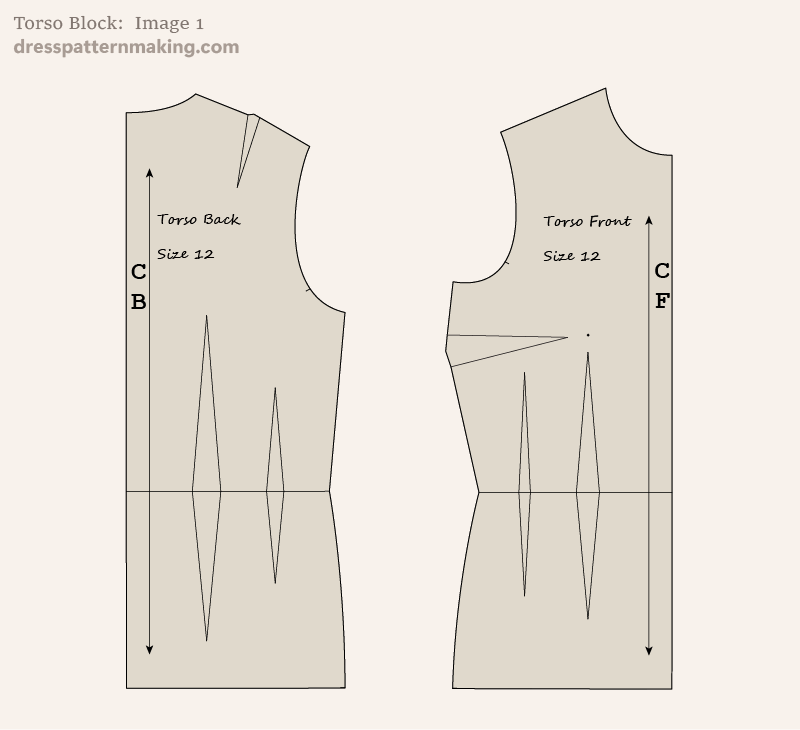 Torso Block front and back