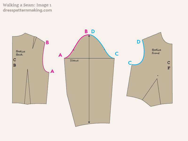 Bodice blocks front and back, plus sleeve showing paths that need to be 'walked'